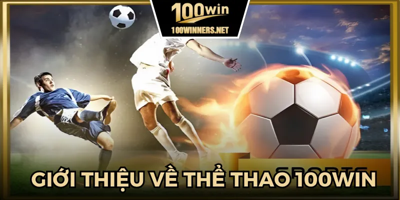 Thể thao 100win là gì mà hấp dẫn người chơi?