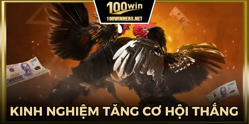 Bỏ túi ngay những kinh nghiệm để tăng cơ hội chiến thắng