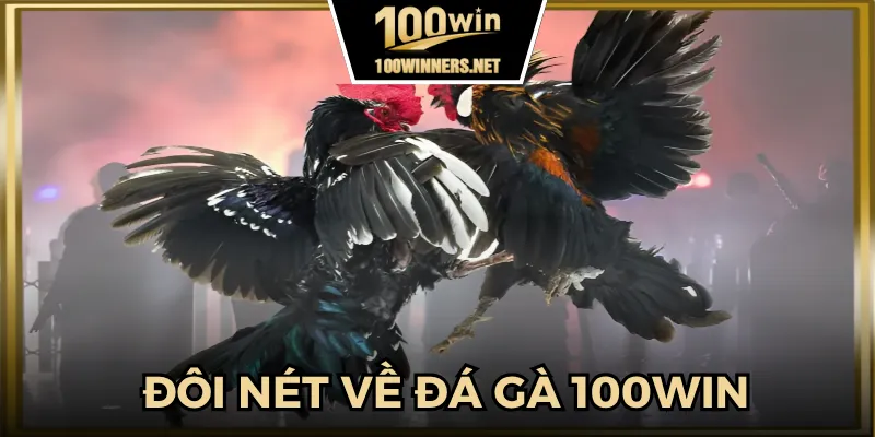 Tổng quan về đá gà 100win